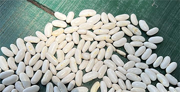 DMT-Products Pulses
